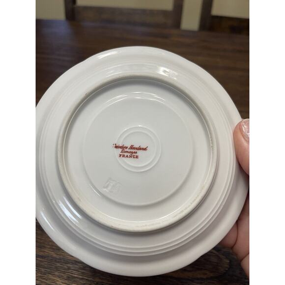 Theodore Haviland Limoges France Antique Teacup Roses with Impressed Stamp - Picture 10 of 11